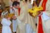 dsc_0263_small.jpg