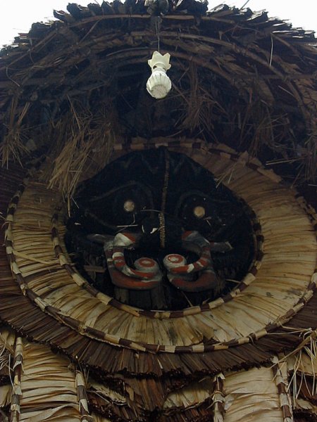 amboin071.jpg