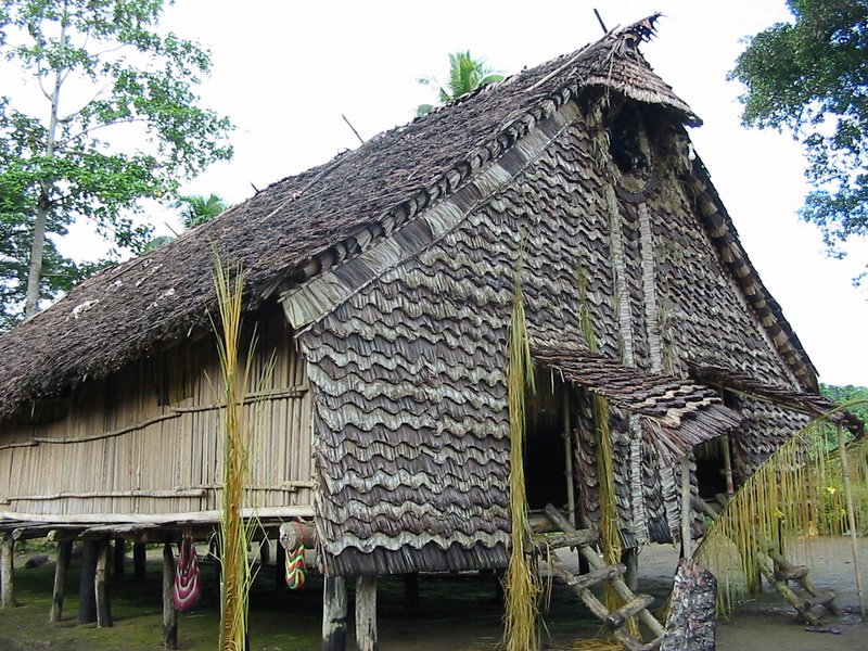 amboin077.jpg