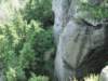 p010709_100503_small.jpg