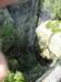 p010709_1027_small.jpg