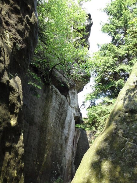 p010709_1050.jpg