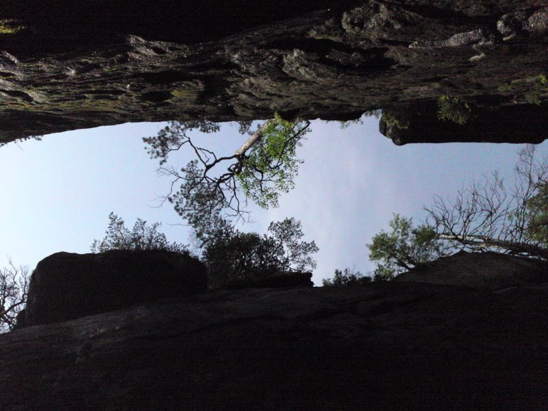 p010709_110303.jpg