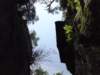 p010709_1103_small.jpg