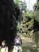 p010709_1108_small.jpg