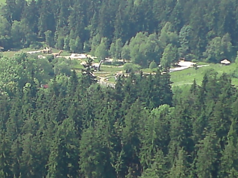 p010709_1129.jpg