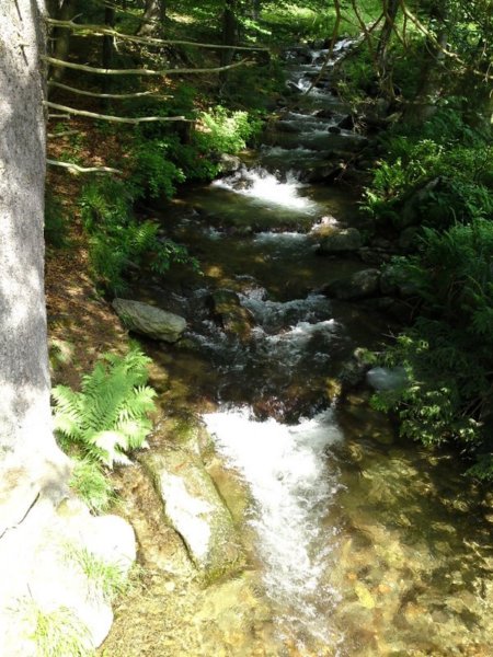 p040709_1535.jpg