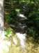 p040709_1535_small.jpg