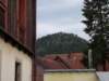 p300609_1947_small.jpg