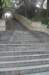 dsc02104_small.jpg