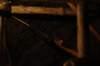 dsc02108_small.jpg