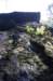 dsc02166_small.jpg