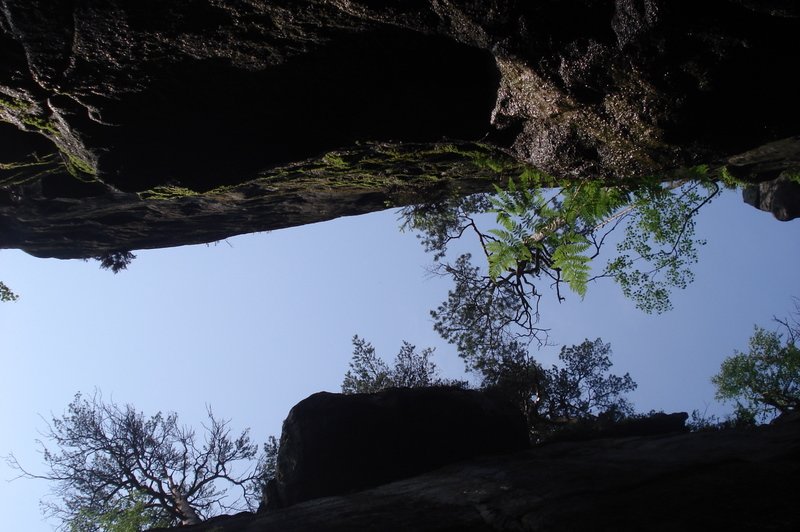 dsc02175.jpg