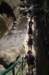 dsc02176_small.jpg