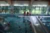 dsc02196_small.jpg