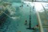 dsc02203_small.jpg