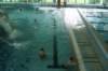 dsc02206_small.jpg