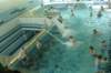 dsc02217_small.jpg