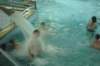 dsc02227_small.jpg