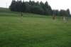 dsc02237_small.jpg