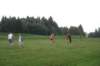 dsc02262_small.jpg