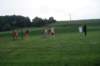 dsc02309_small.jpg