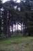 dsc02387_small.jpg