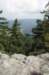dsc02403_small.jpg