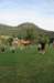dsc02473_small.jpg