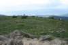 dsc02541_small.jpg