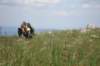 dsc02549_small.jpg