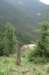 dsc02579_small.jpg