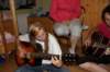 img_0551_small.jpg