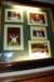 dsc_0115_small.jpg