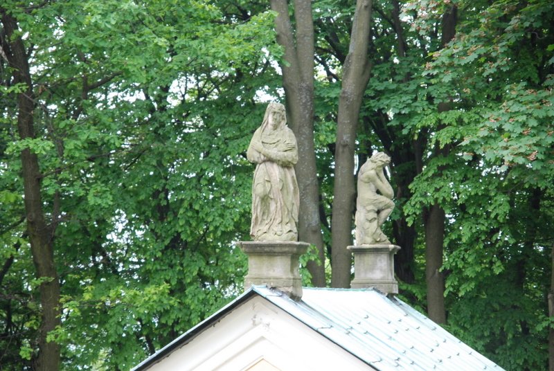 dsc_0156.jpg