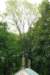 dsc_0158_small.jpg