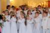 dsc_0483_small.jpg