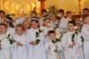 dsc_0489_small.jpg