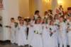 dsc_0491_small.jpg