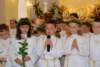 dsc_0085_small.jpg