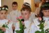 dsc_0088_small.jpg