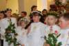 dsc_0100_small.jpg