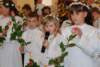 dsc_0104_small.jpg