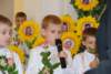 dsc_0108_small.jpg