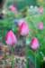 dsc_0179_small.jpg