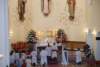 dsc_0088_small.jpg