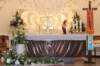 dsc_0147_small.jpg