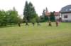 dsc_0039_small.jpg
