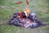 dsc_0114_small.jpg