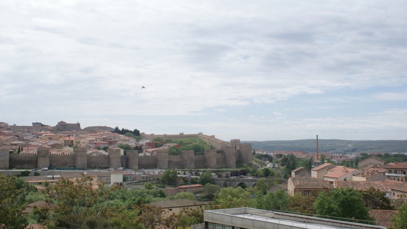 dsc01780.jpg